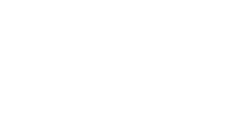 hollandsnieuwe sim only